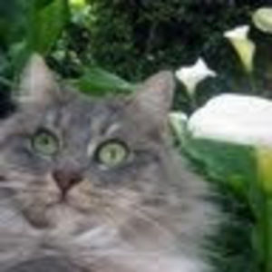 Meet your Posher, Tamatha